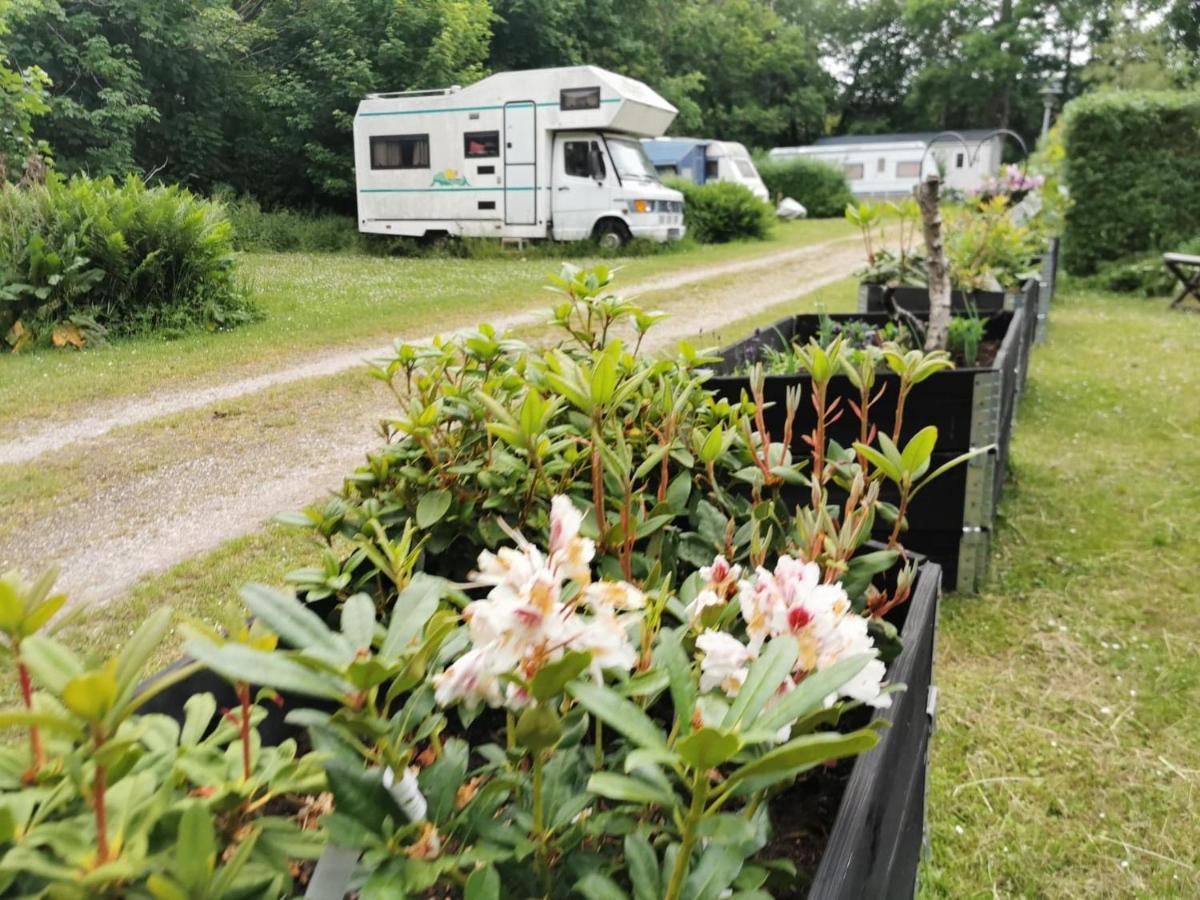 Frederiksvaerk Camping & Hostel Dış mekan fotoğraf