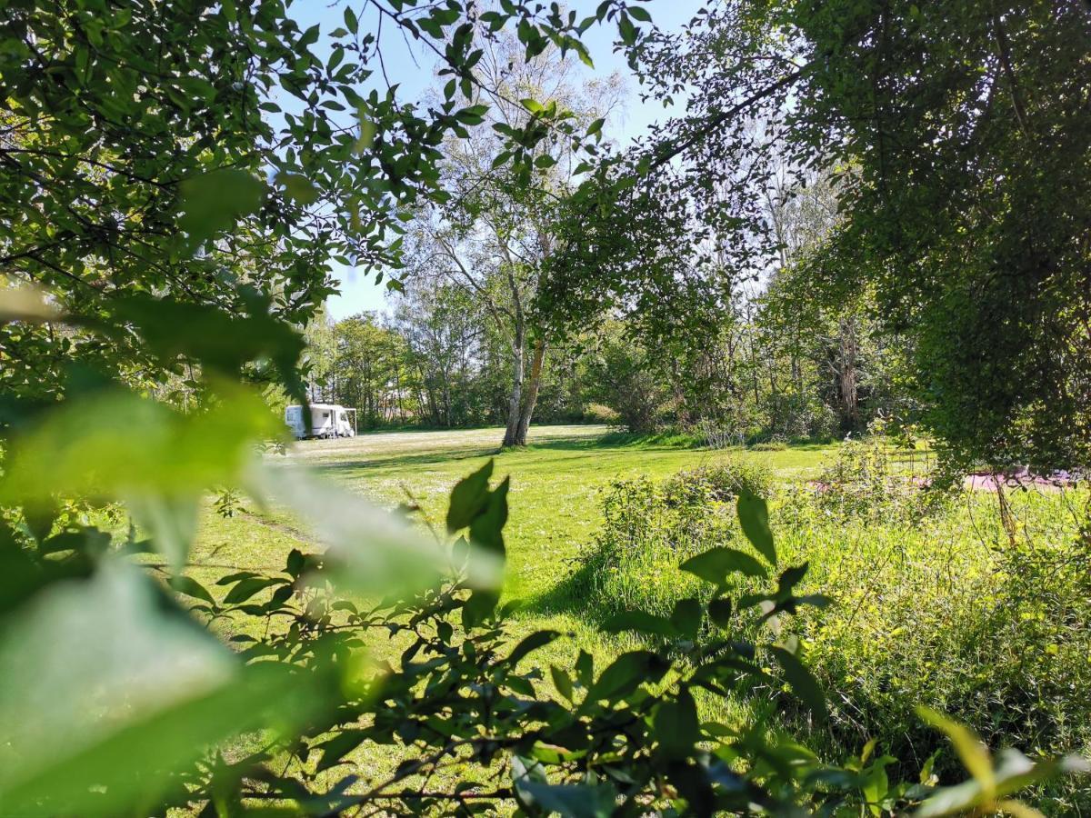 Frederiksvaerk Camping & Hostel Dış mekan fotoğraf