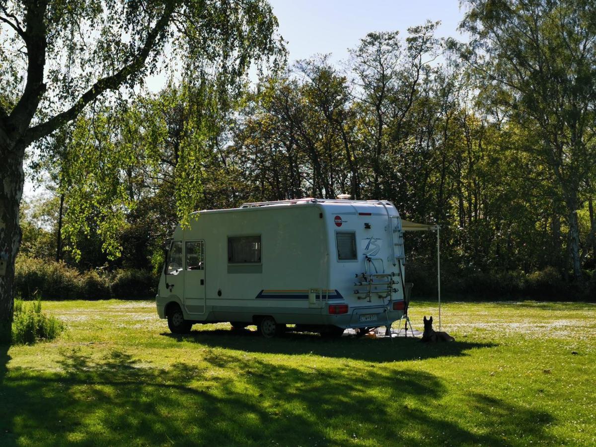 Frederiksvaerk Camping & Hostel Dış mekan fotoğraf