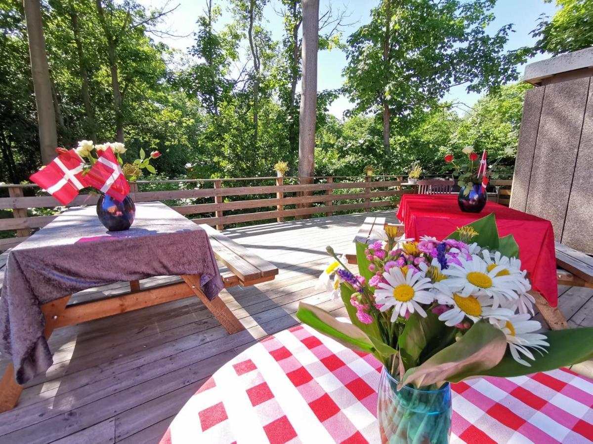 Frederiksvaerk Camping & Hostel Dış mekan fotoğraf