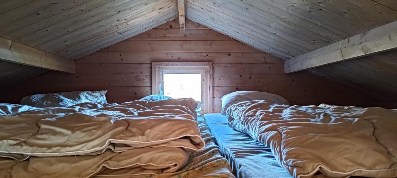 Frederiksvaerk Camping & Hostel Dış mekan fotoğraf
