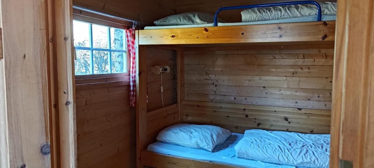 Frederiksvaerk Camping & Hostel Dış mekan fotoğraf