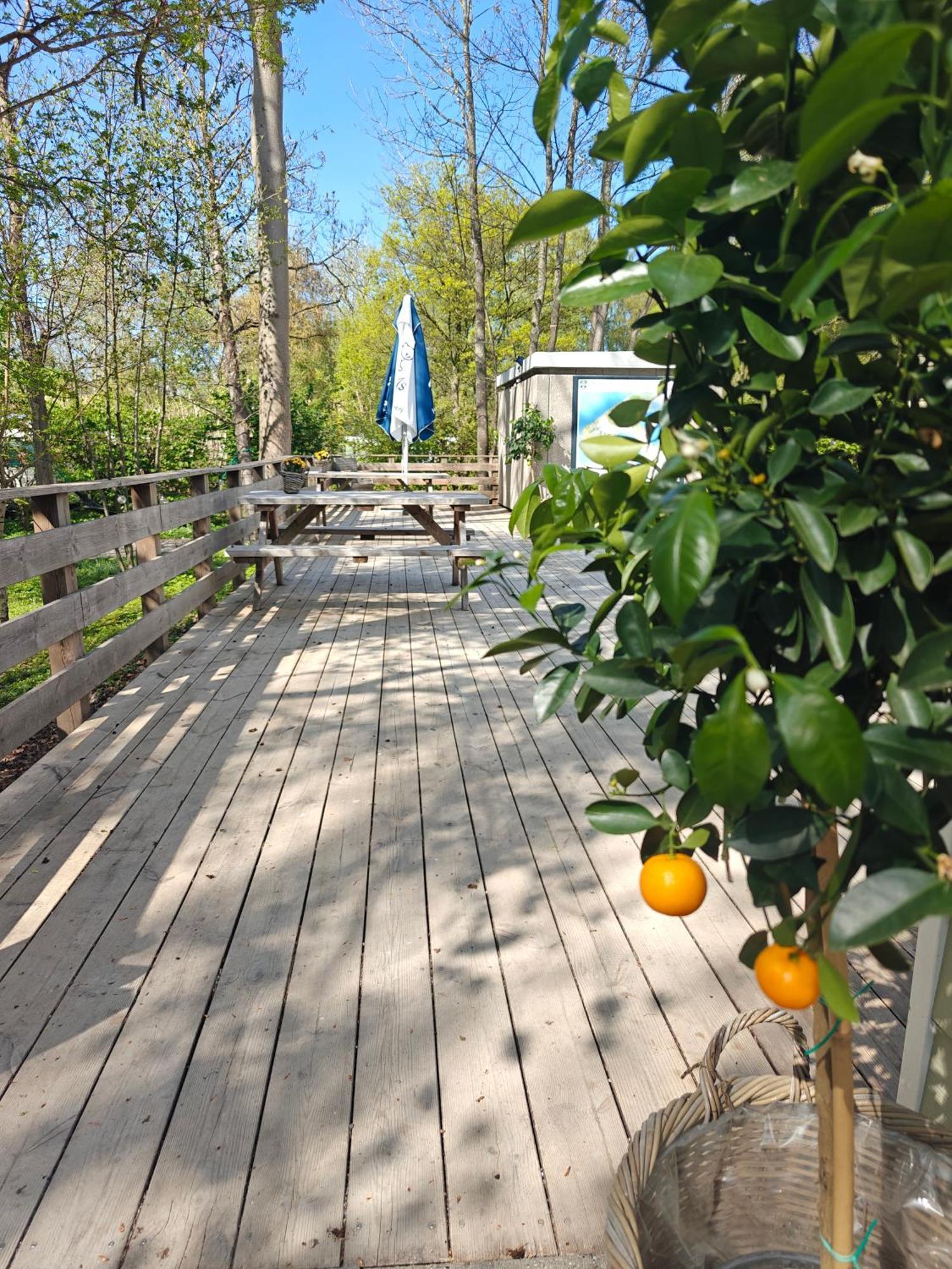 Frederiksvaerk Camping & Hostel Dış mekan fotoğraf